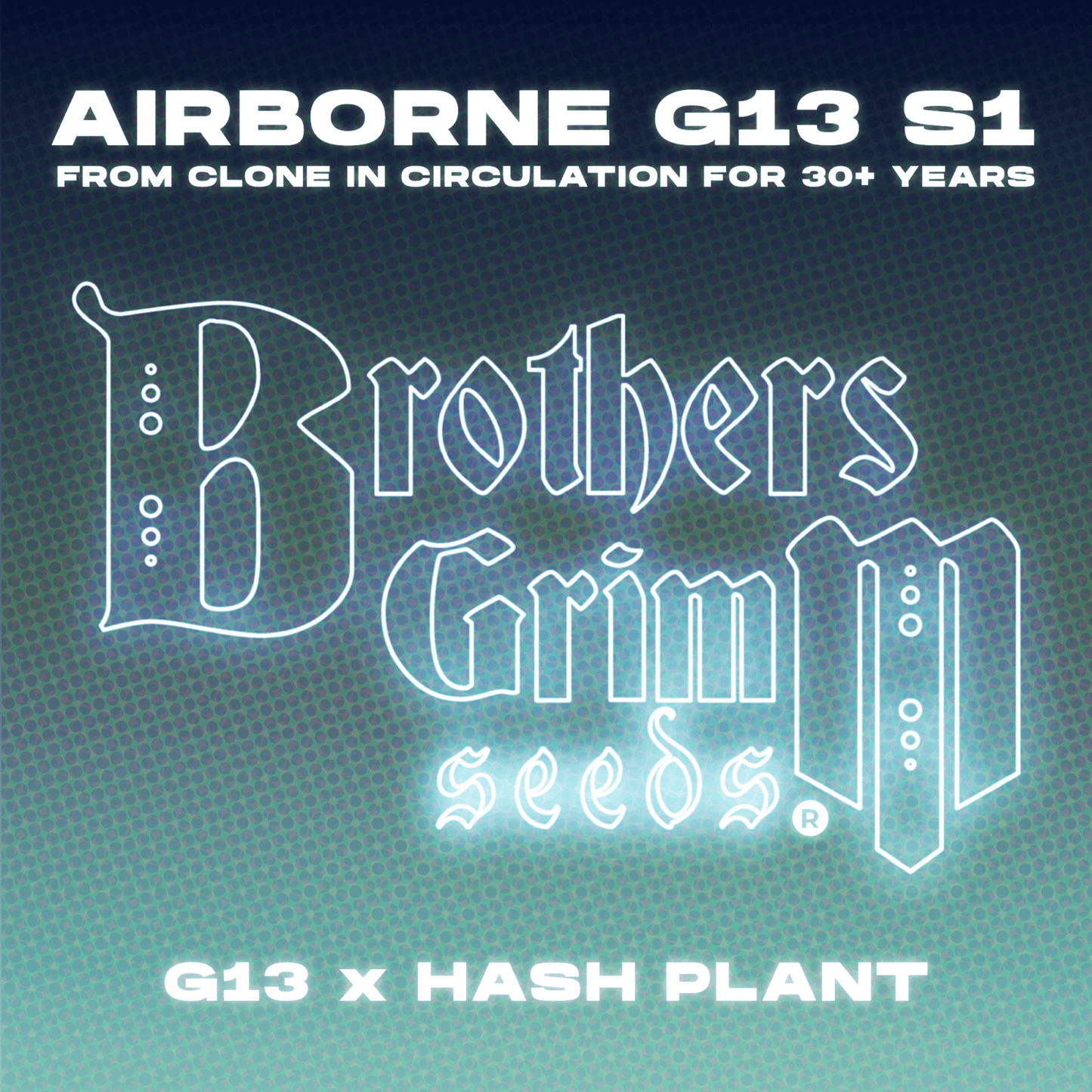 Airborne G13 S1 Feminisierte Samen – Brothers Grimm Seeds – Brothers Grimm Seeds | Highdelberg Seeds