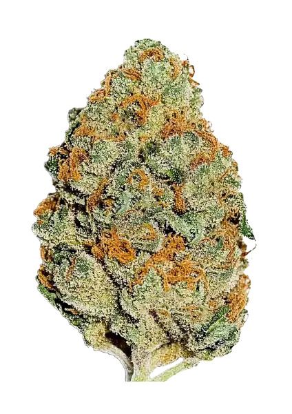 Lemon Mandarin Fem Samen — Fast Buds Samen Sammlerobjekt — Ansicht 2