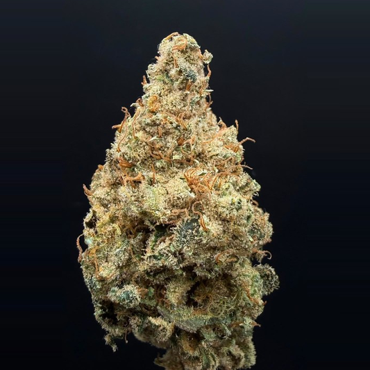 GlueTank — HighRoots Seeds feminisierte Cannabis Samen, Sammlerobjekt KCanG §4 – Detailansicht