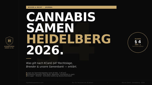 Cannabis Samen kaufen in Heidelberg