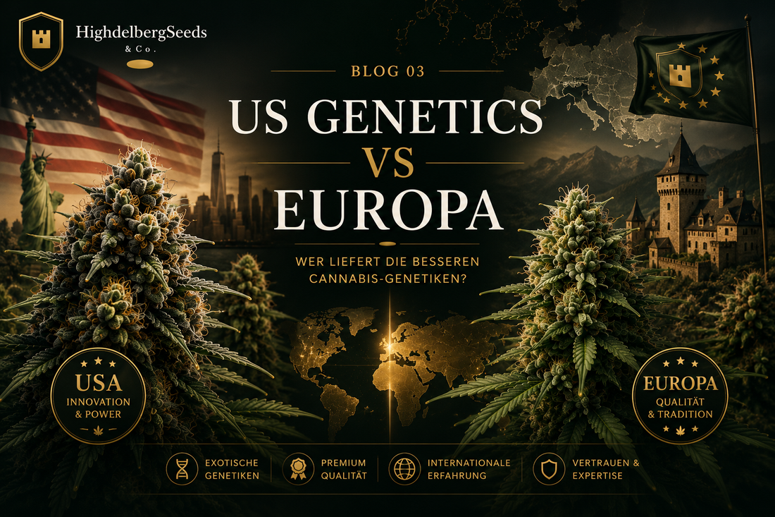 US Genetics vs Europäische Samen — Vergleich