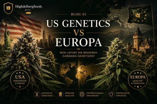 US Genetics vs Europäische Samen — Vergleich