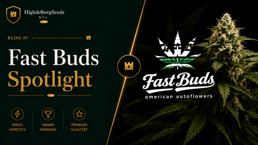 Fast Buds Autoflower Samen kaufen — Der vollständige Guide