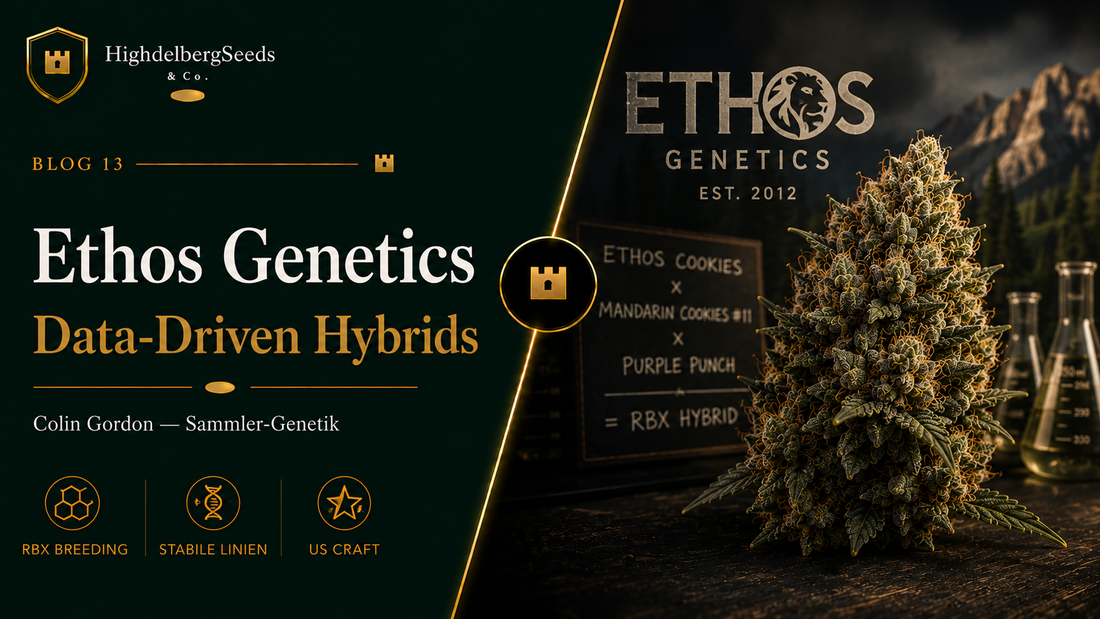 Ethos Genetics Samen kaufen — Data-Driven US Craft — Highdelberg Seeds