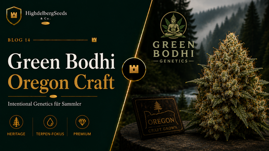Green Bodhi Samen kaufen — Oregon Heritage Craft