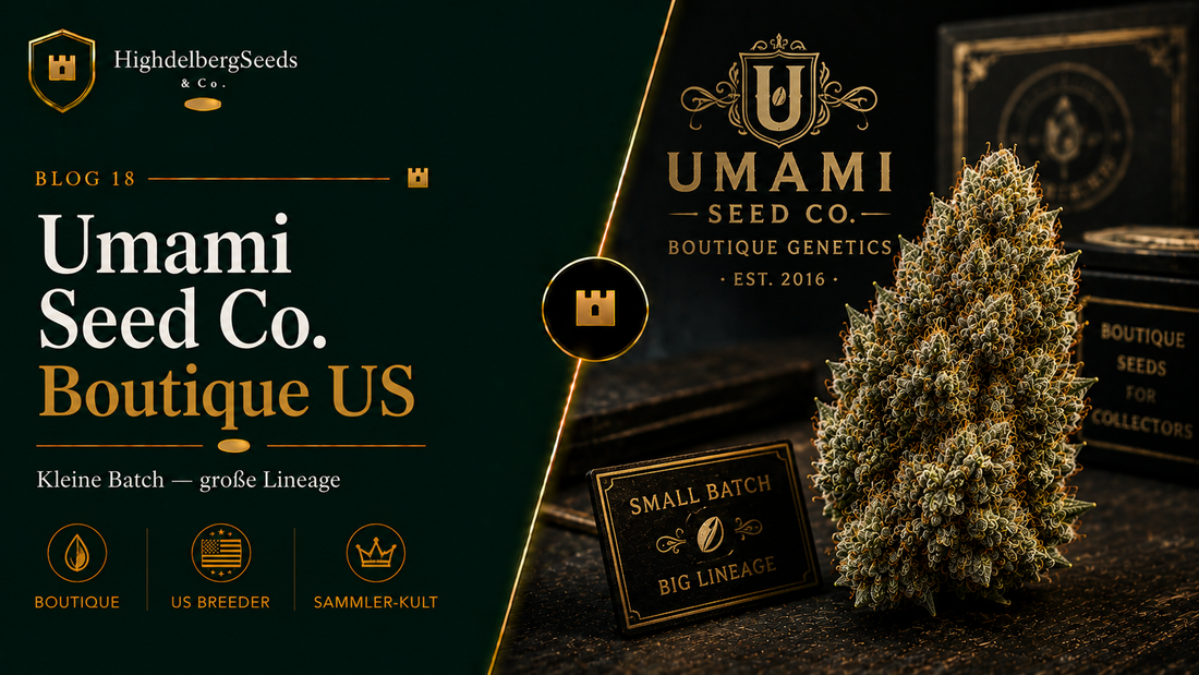 Umami Seed Co. Samen kaufen — Zoda Boutique Craft