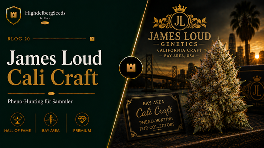 James Loud Genetics Samen kaufen — Cali Craft Lab