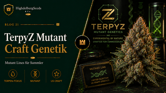 TerpyZ Mutant Samen kaufen — Craft Terpen-Linien