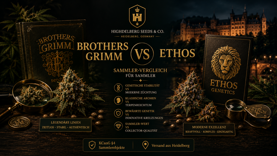 Brothers Grimm vs Ethos — Sammler-Vergleich