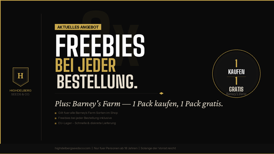 Highdelberg Seeds & Co. – Freebies bei jeder Bestellung und Barney's Farm BOGO-Aktion: 1 Pack kaufen, 1 Pack gratis erhalten.