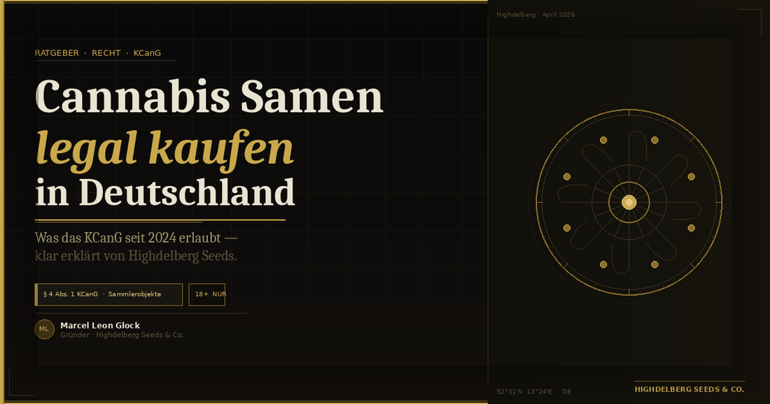 Cannabis Samen legal kaufen in Deutschland — Sammlerobjekte gemäß § 4 Abs. 1 KCanG bei Highdelberg Seeds & Co.