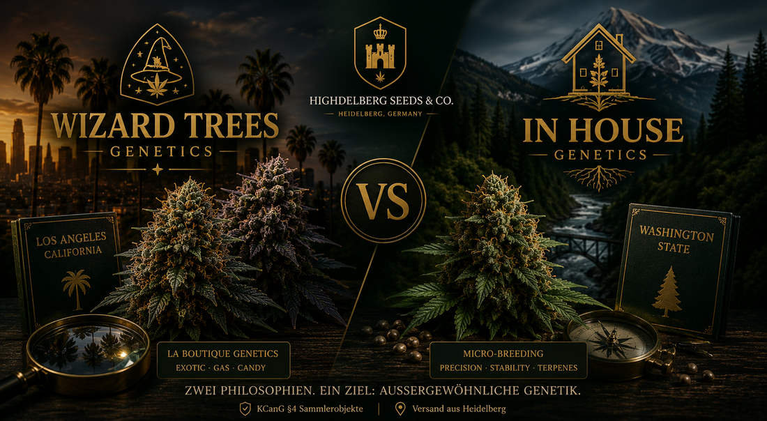Wizard Trees vs In House Genetics — Sammler