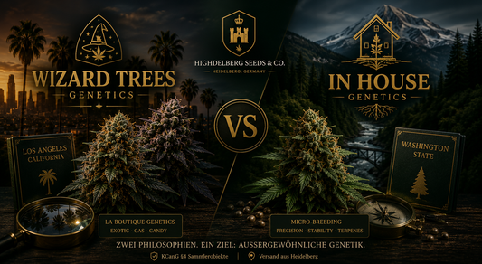 Wizard Trees vs In House Genetics — Sammler