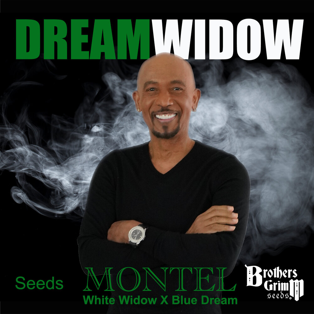 Montel's Dream Widow Feminisierte Samen – Brothers Grimm Seeds – Brothers Grimm Seeds | Highdelberg Seeds
