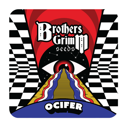 Ocifer Feminisierte Samen – Brothers Grimm Seeds – Brothers Grimm Seeds | Highdelberg Seeds