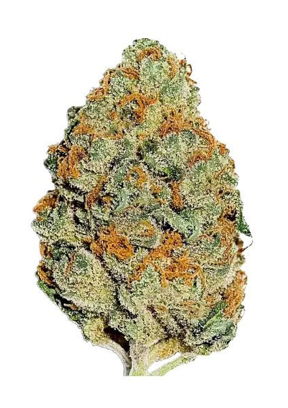 Lemon Mandarin Fem Samen — Fast Buds Samen Sammlerobjekt — Ansicht 2