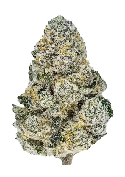 Lemonpaya Fem Samen — Fast Buds Samen Sammlerobjekt — Ansicht 2
