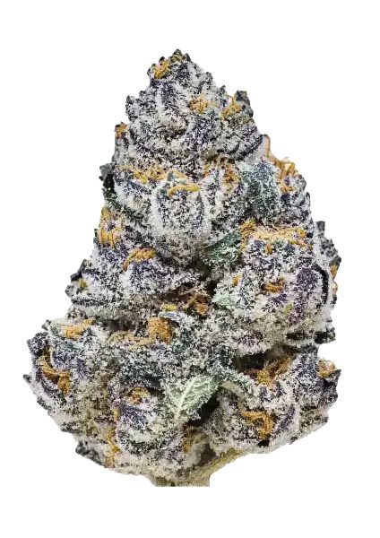 Rainbow Melon Fem Samen — Fast Buds Samen Sammlerobjekt — Ansicht 2