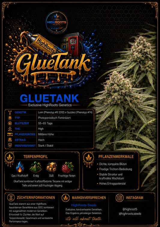 GlueTank — HighRoots Seeds | Feminisierte Samen – Cannabis Samen von HighRoots Seeds