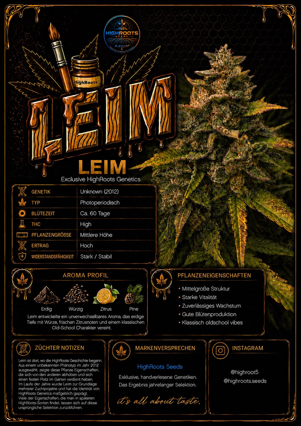 Leim — HighRoots Seeds | Feminisierte Samen