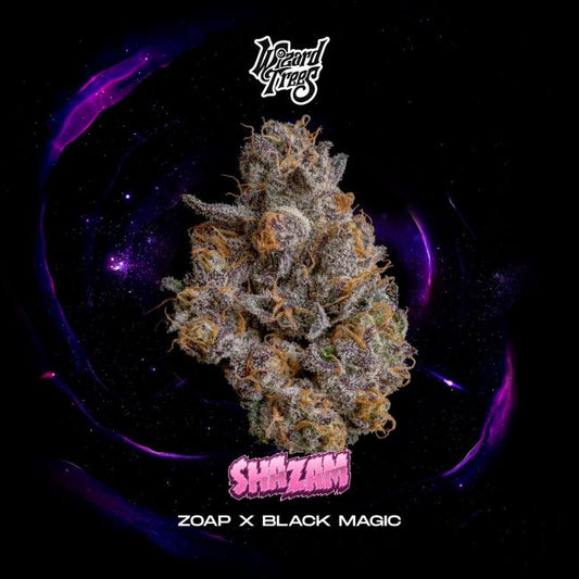 Shazam – Wizard Trees Genetics Sammlerobjekt – Cannabis Samen von Wizard Trees Genetics