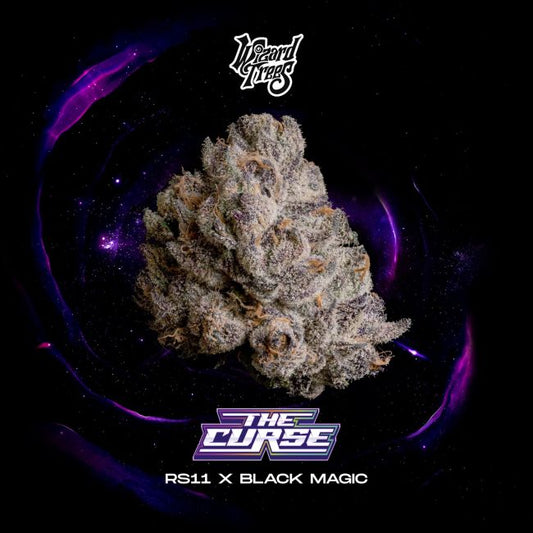 The Curse – Wizard Trees Genetics Sammlerobjekt – Cannabis Samen von Wizard Trees Genetics