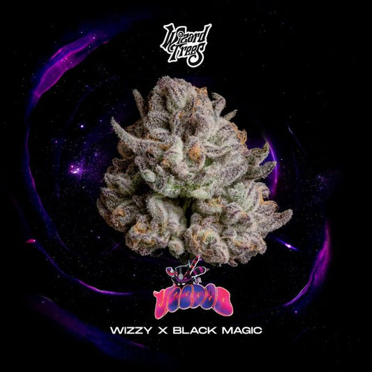 Voodoo – Wizard Trees Genetics Sammlerobjekt – Cannabis Samen von Wizard Trees Genetics