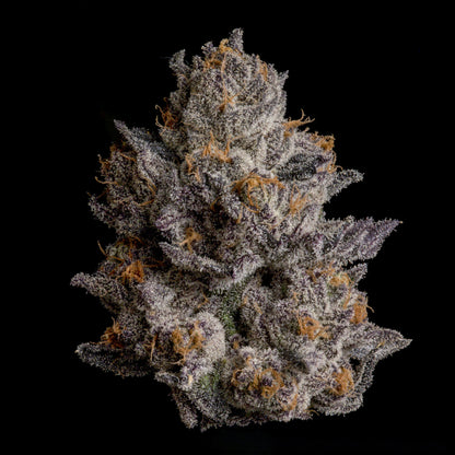 Black Orchard – Wizard Trees Genetics | Feminisierte Cannabis Samen