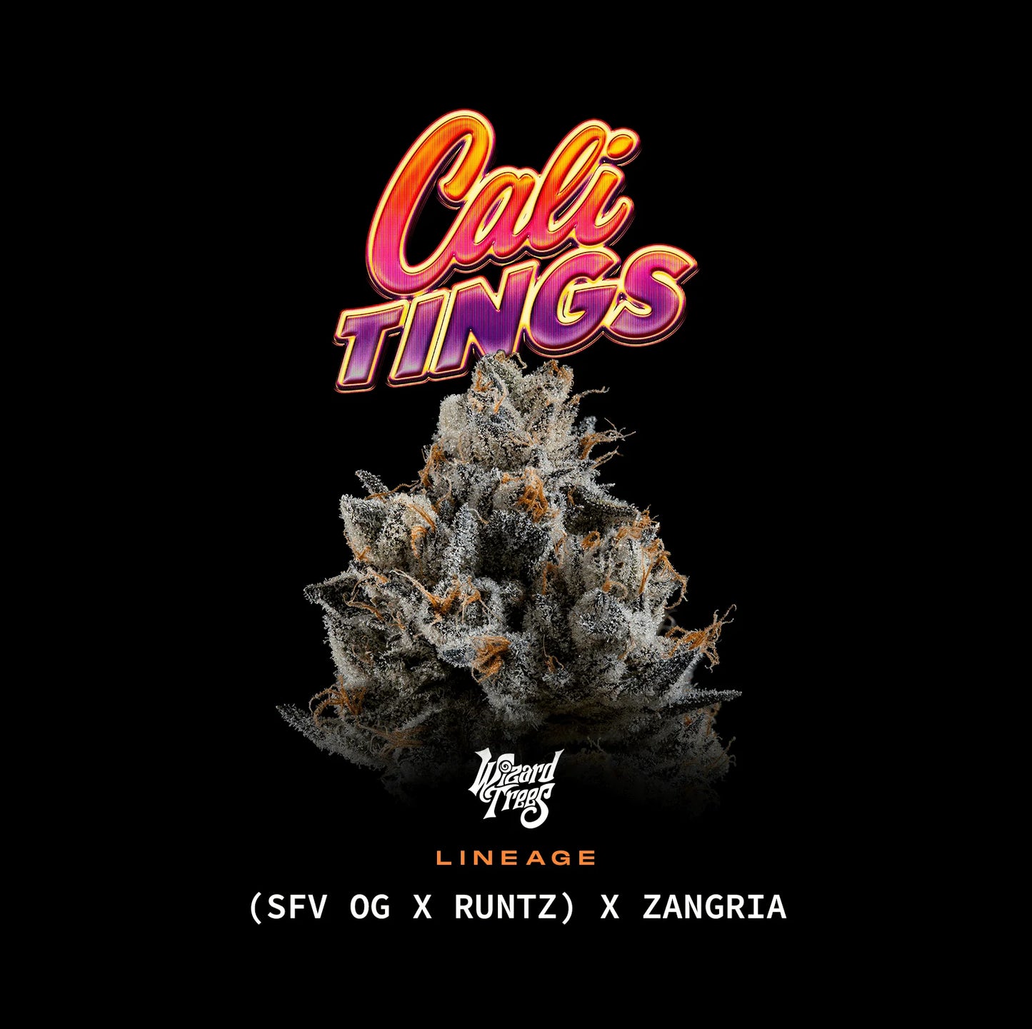 Cali Tings – Wizard Trees Genetics | Feminisierte Cannabis Samen