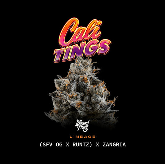 Cali Tings – Wizard Trees Genetics | Feminisierte Cannabis Samen
