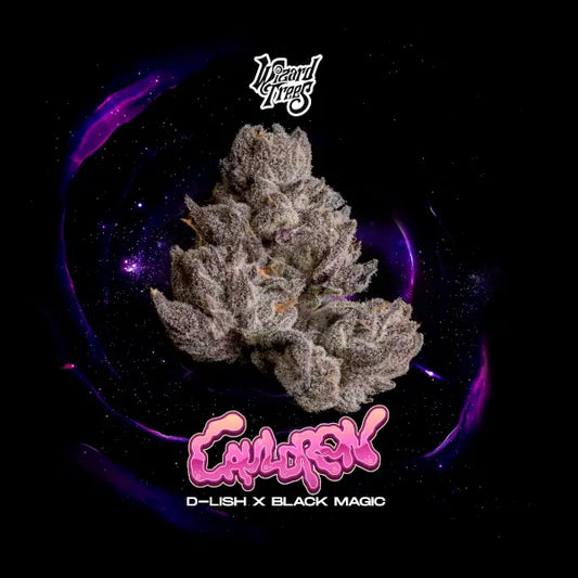 Cauldron – Wizard Trees Genetics | Feminisierte Cannabis Samen