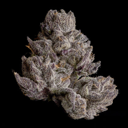 Cauldron – Wizard Trees Genetics | Feminisierte Cannabis Samen