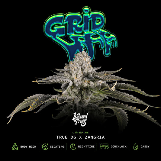 Gridlock – Wizard Trees Genetics | Feminisierte Cannabis Samen