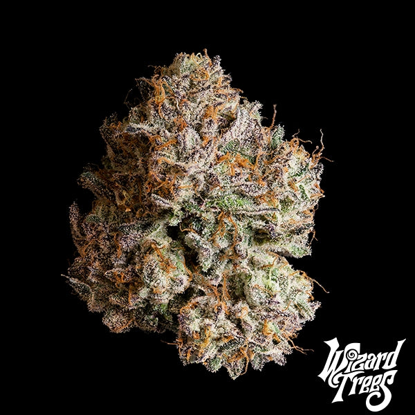 Lemon Fever – Wizard Trees Genetics | Feminisierte Cannabis Samen