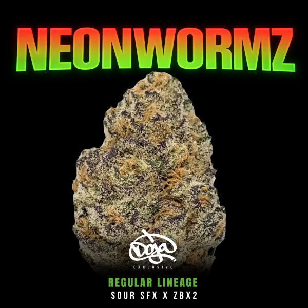 Neon Wormz Regelmäßig Saatgut – Doja Pak – Sammlerobjekt Highdelberg Seeds