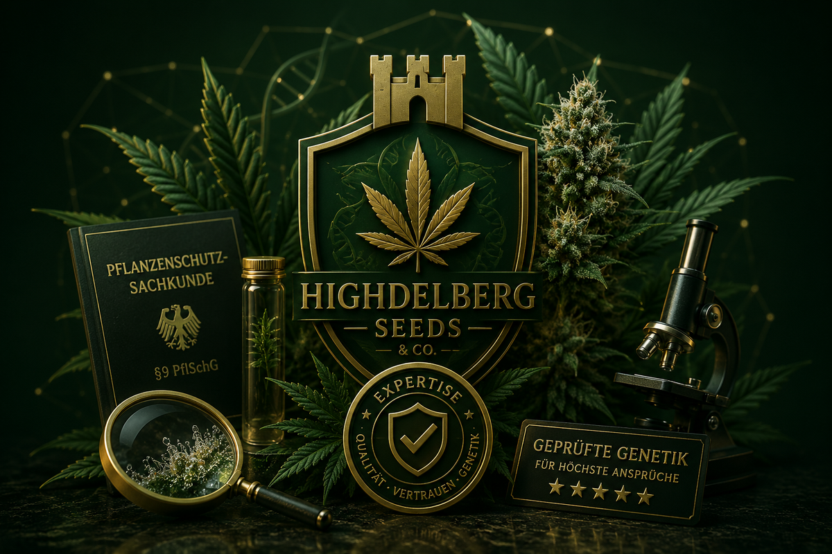 Highdelberg Seeds — Expertise, geprüfte Genetik und Pflanzenschutz-Sachkunde