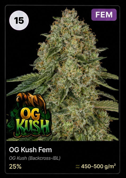 OG Kush von Holy Jeremaiah Genetics