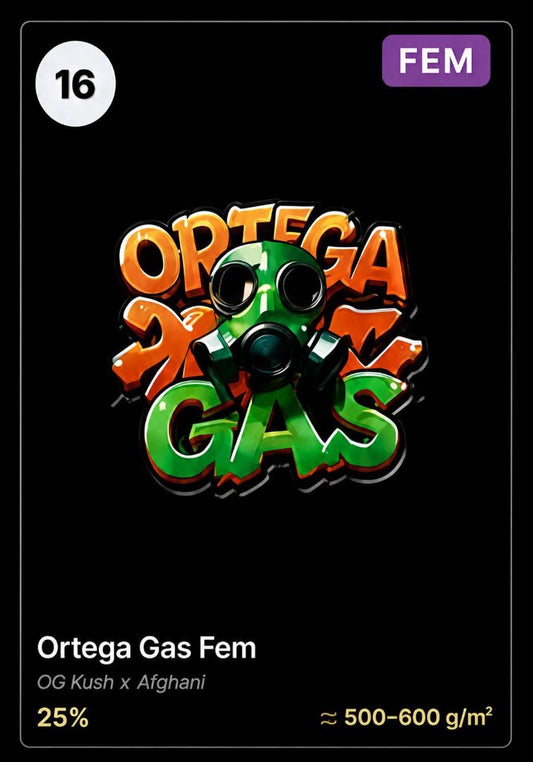 Ortega Gas von Holy Jeremaiah Genetics