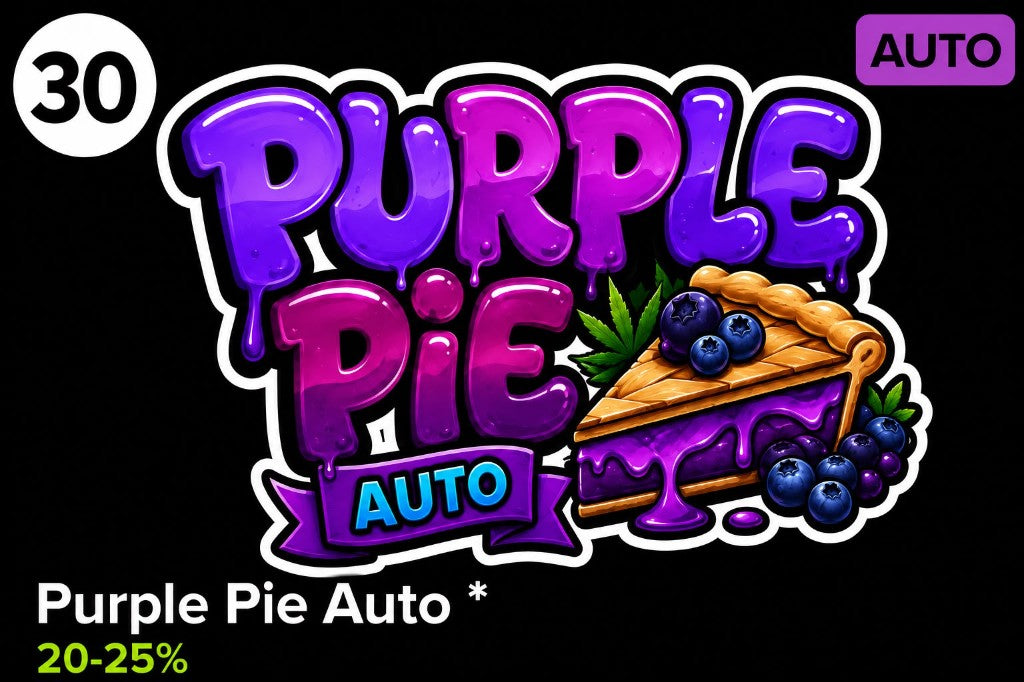 Purple Pie Auto von Holy Jeremaiah Genetics