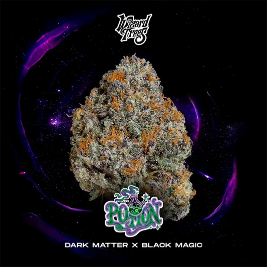 Potion – Feminisiert Cannabis Samen von Wizard Trees Genetics – Sammlerobjekt bei Highdelberg Seeds